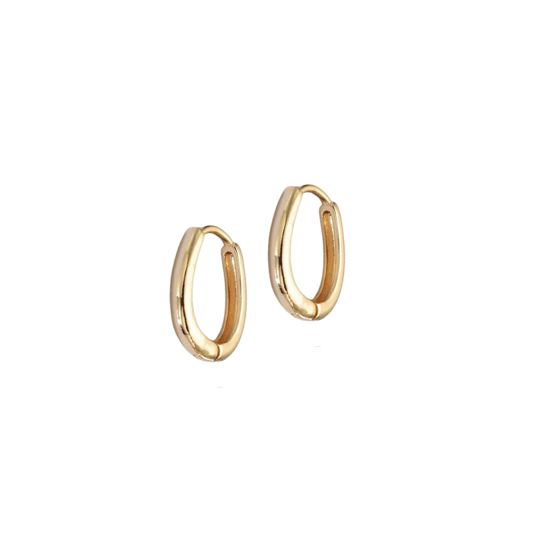 Oval Hoop Earrings